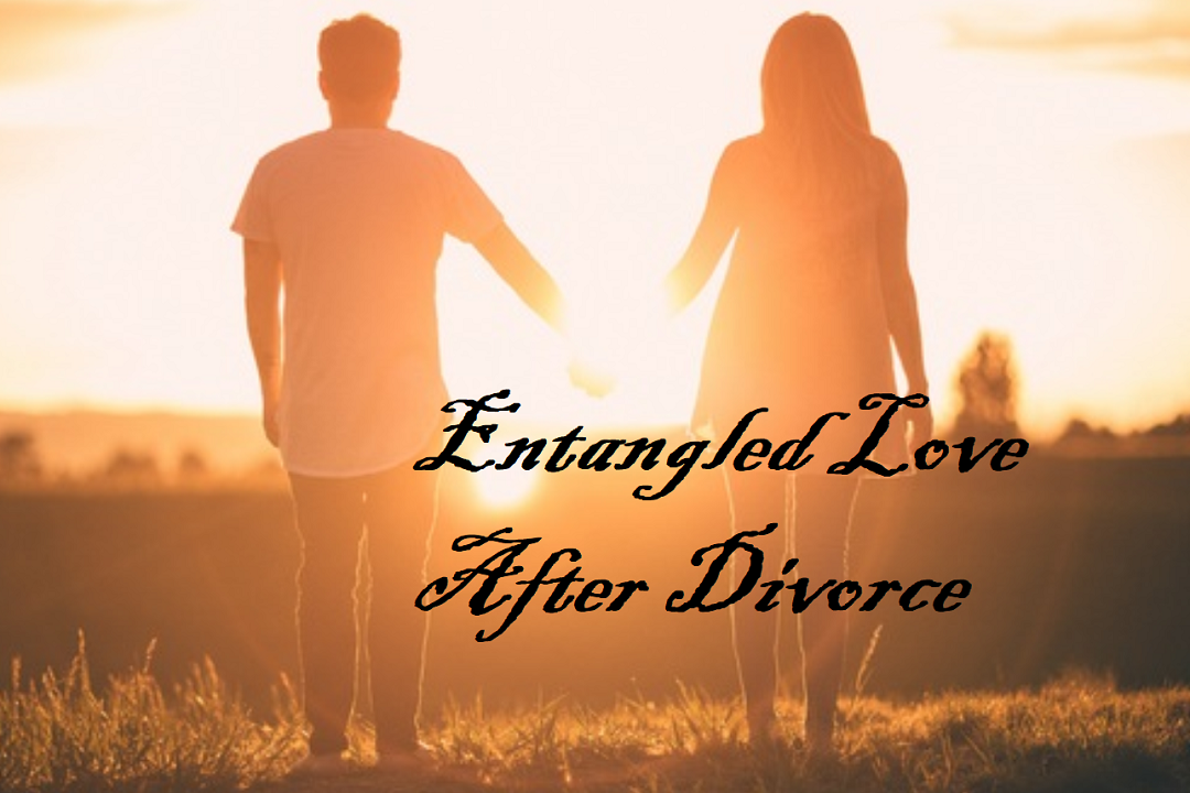 Unexpected Blessing After Divorce Novel Entangled Love After Divorce: Chinese Novel Synopsis | BrunchVirals