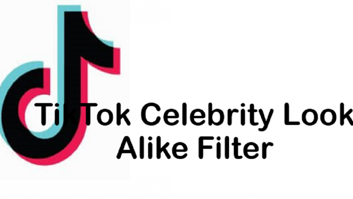 TikTok celebrity look alike filter