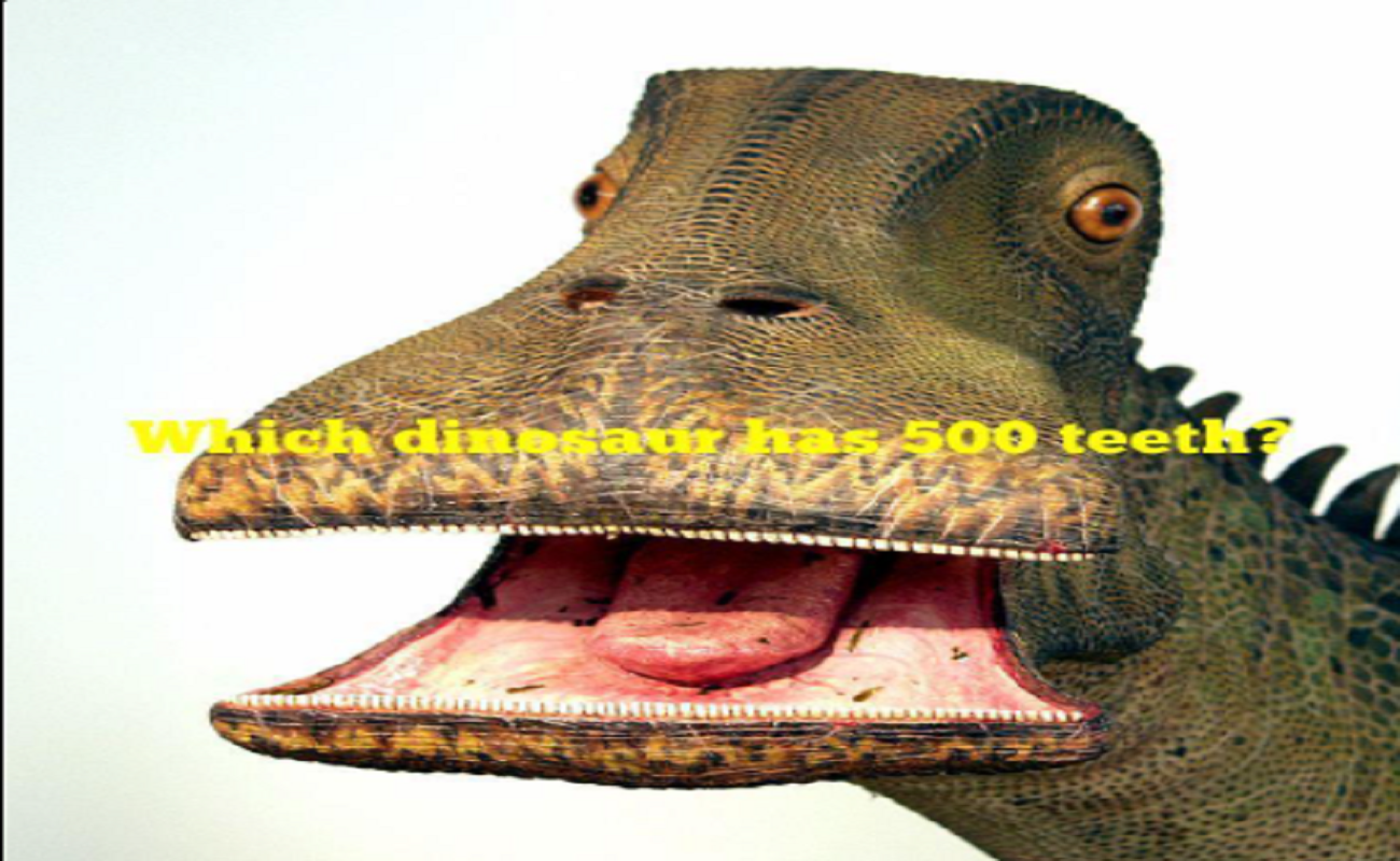 dinosaur with 100 teeth