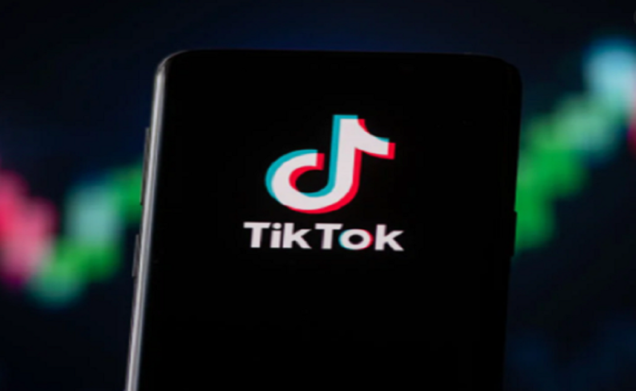 photo animation filter tiktok