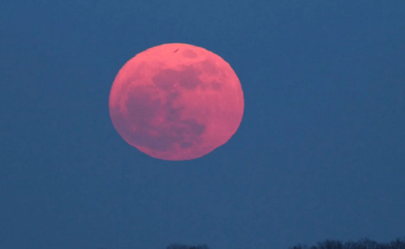 Pink Moon Meaning The Spiritual Meaning Of Pink Moon BrunchVirals