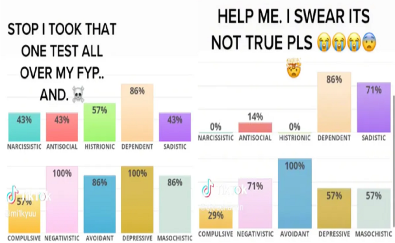 How To Take The IDRLabs Personality Style Test On TikTok? Explained ...