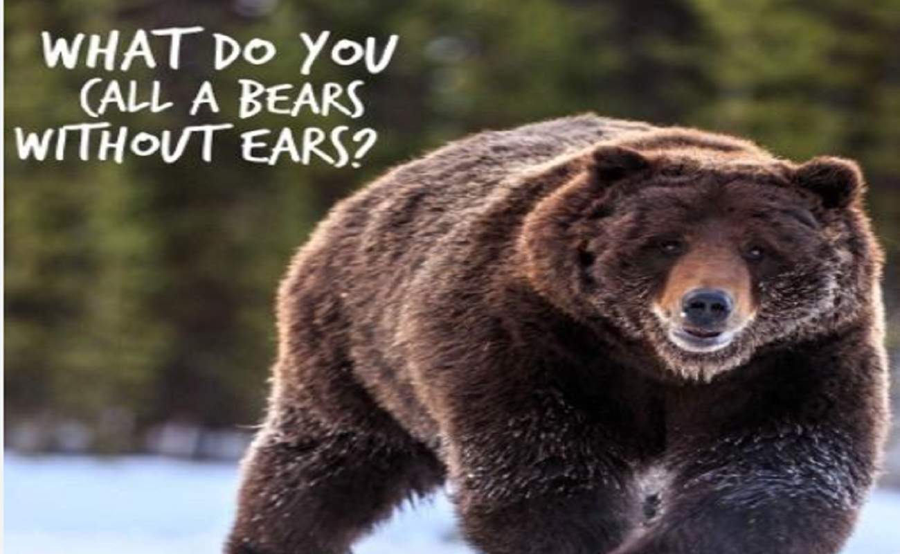 What do you call a bear with no ears Answer – Answer Revealed ...