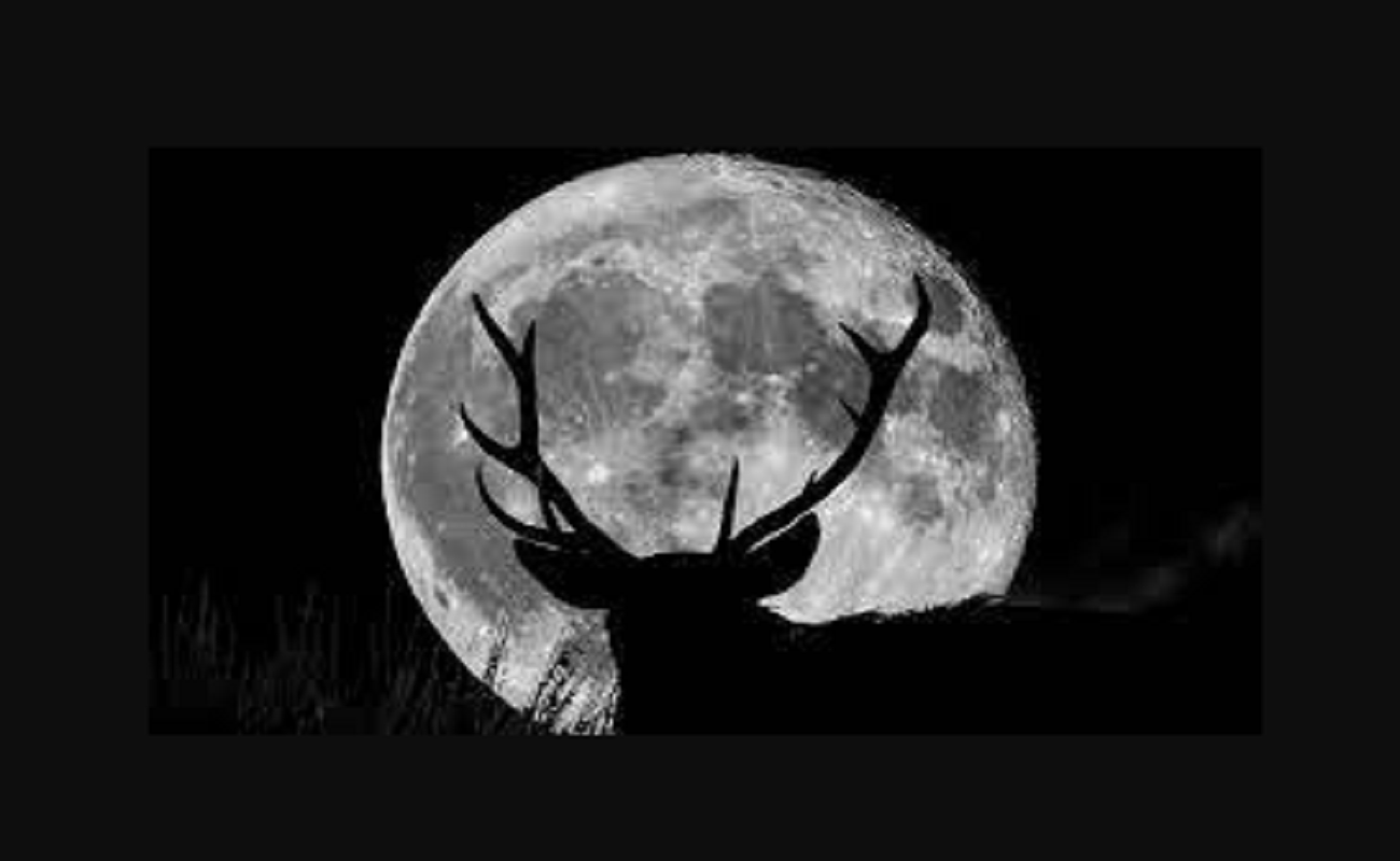 Full Buck Moon Spiritual Meaning Explained BrunchVirals