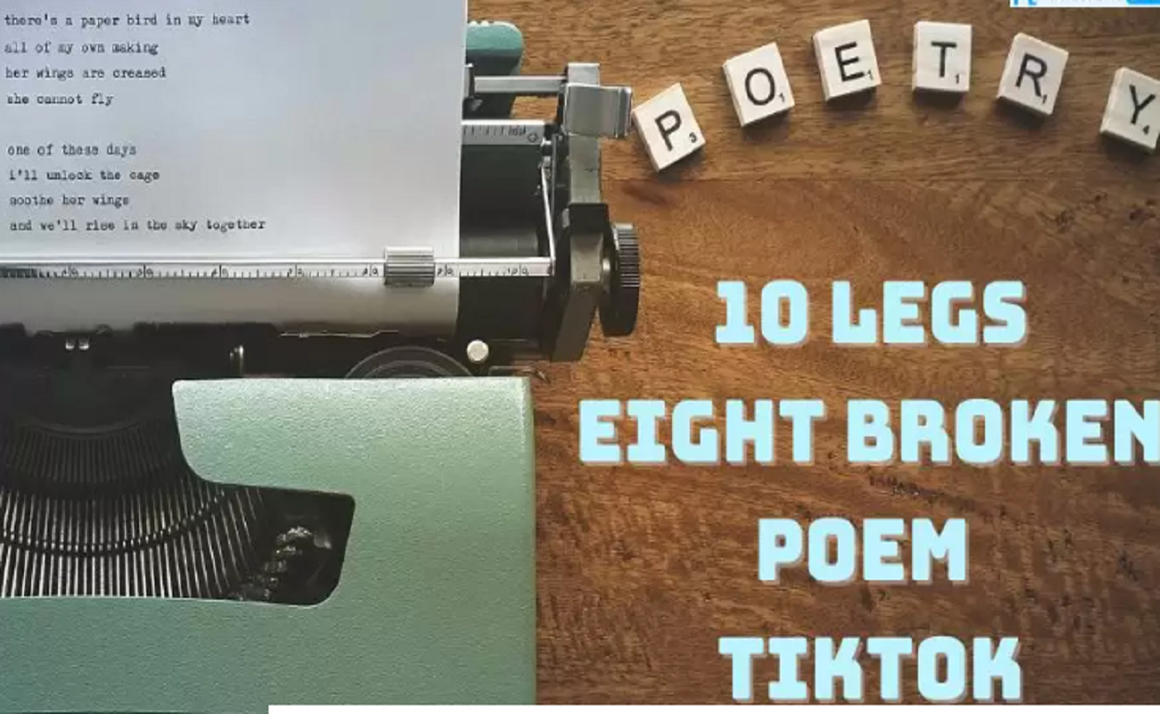 ten-legs-eight-broken-poem-tiktok-explained-brunchvirals