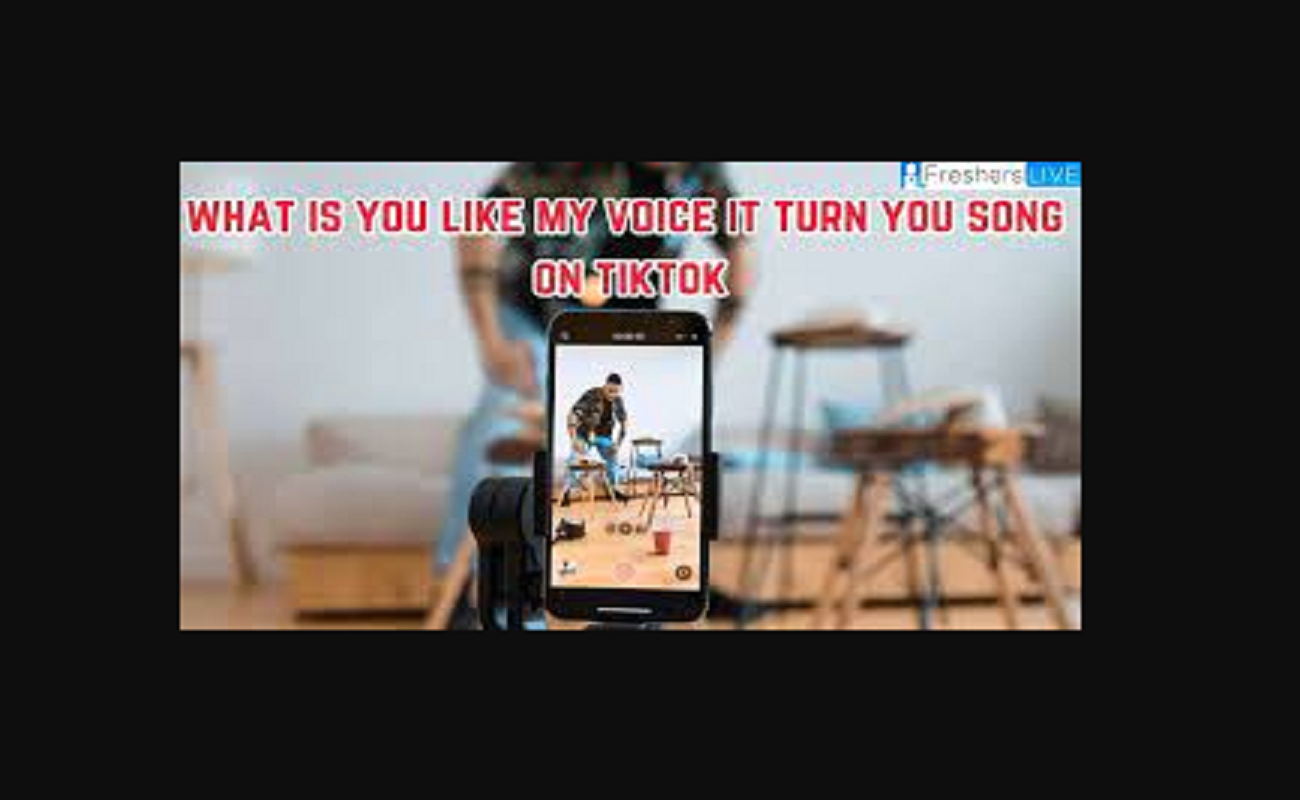 You Like My Voice It Turn You On Song TikTok The Viral Song
