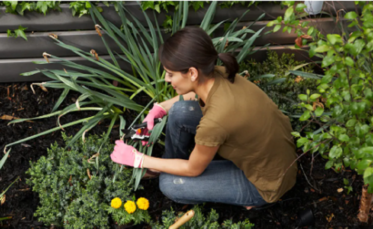 What Does Gardening Mean On TikTok? All You Need To Know BrunchVirals